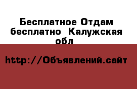 Бесплатное Отдам бесплатно. Калужская обл.